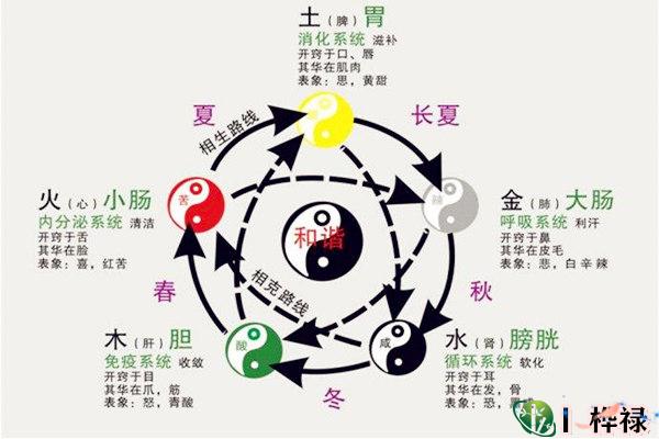 八字疾病类象大全