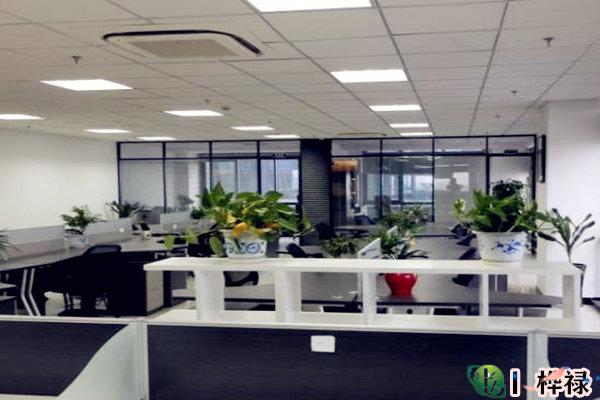 办公室招财摆放风水