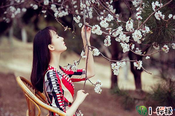 八字看长相秀气美女