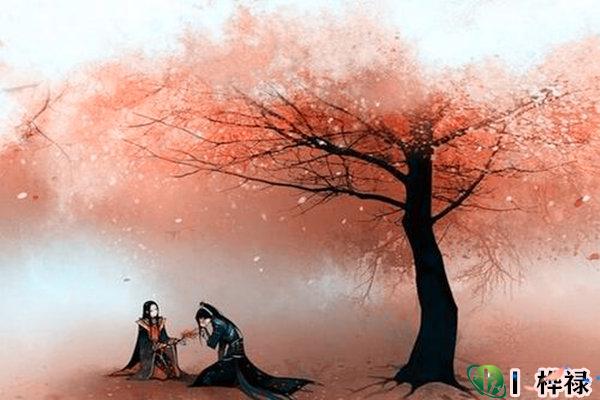 女生招正桃花运的方法