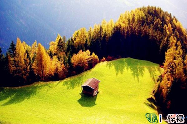 八字壬骑龙背格