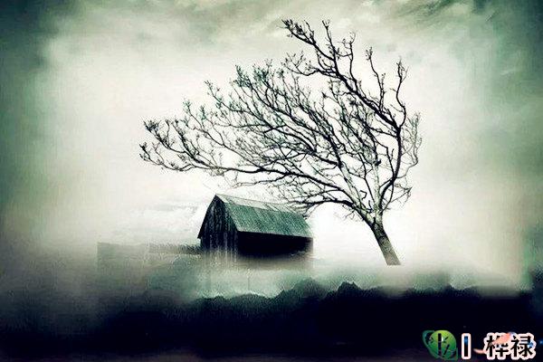 阳宅阴气太重如何化解