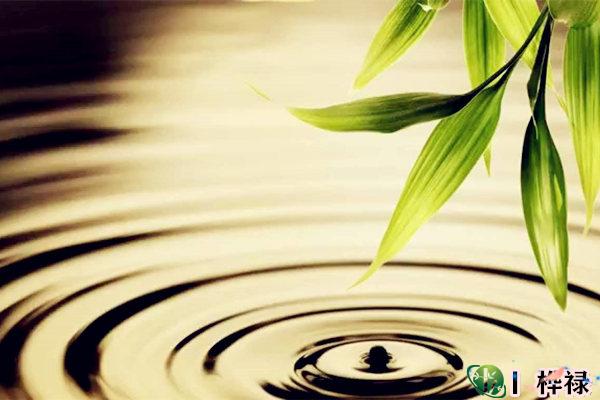 八字清纯格局详解