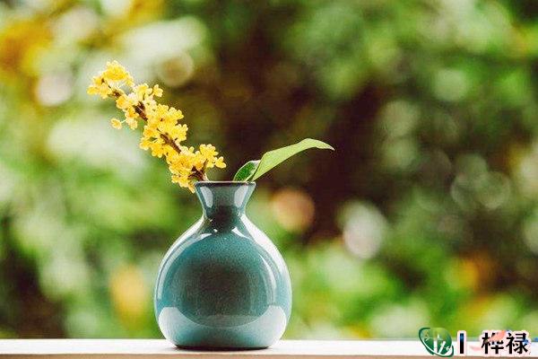 名利事业兼收的八字特点