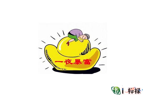 八字看大运一夜暴富的命局