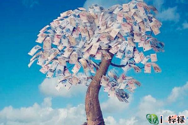 八字看大运一夜暴富的命局