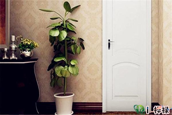 一开门见到什么最招财