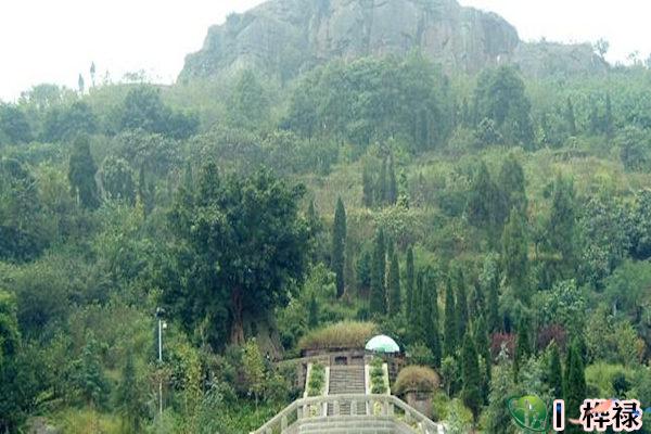 坟墓前多远的山算案山