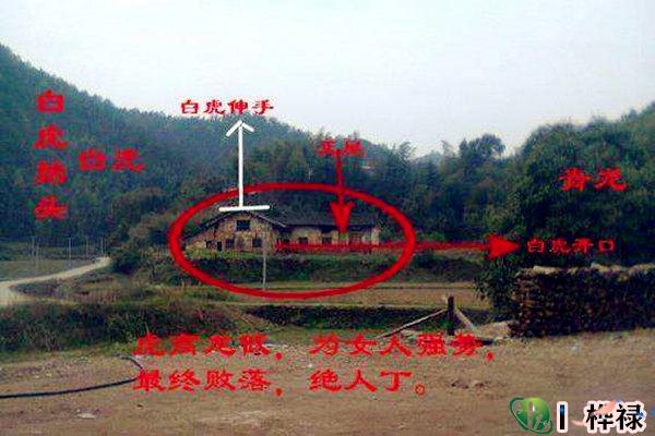 风水中犯白虎探头含义及化解