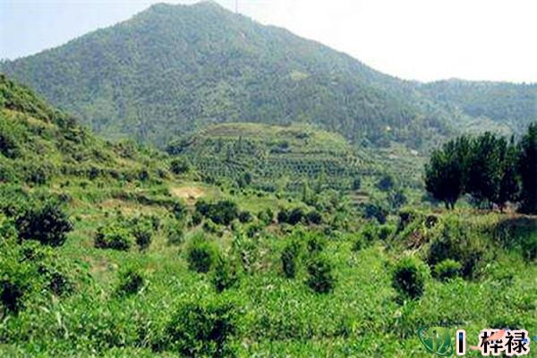 阴宅风水与八字