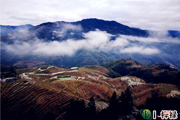 藏风聚气的布局