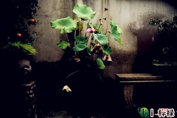 藏风聚气的布局