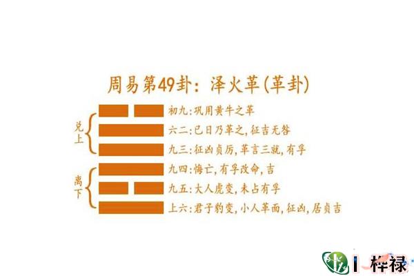 六十四卦:泽火革卦详解