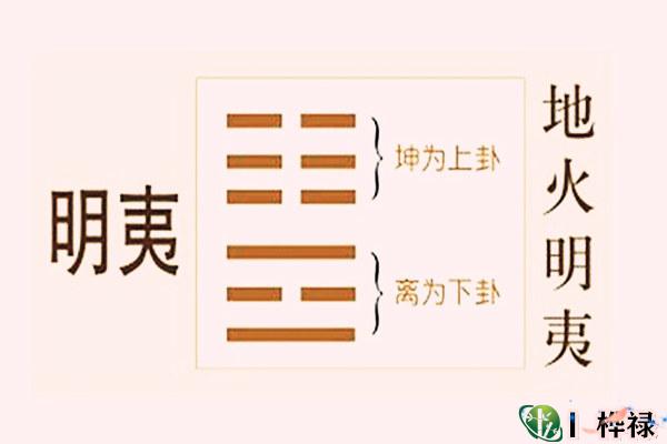 六十四卦:地火明夷卦详解