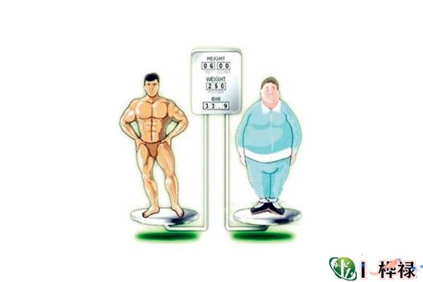 哪种八字的人胖点运势好