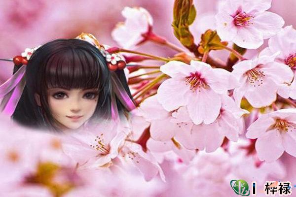 ​红艳桃花查询，红艳和桃花的区别