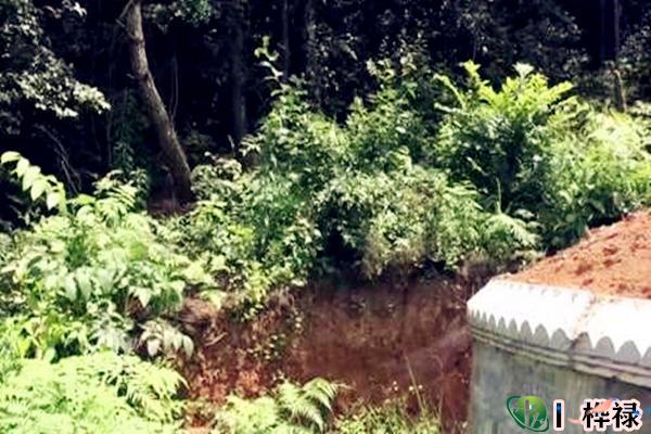 阴宅立向秘诀,阴宅坐向的风水禁忌