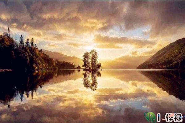 八字金水伤官代表什么，金水伤官金弱会怎样