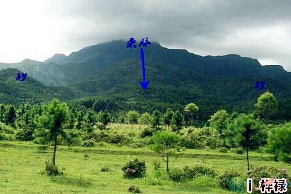 选择阴宅好地的五大要点