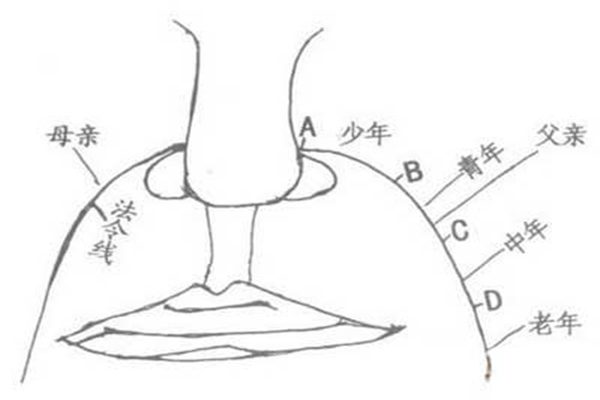 面相法令纹相法图解