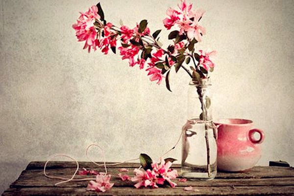 桃花运旺的八字特点