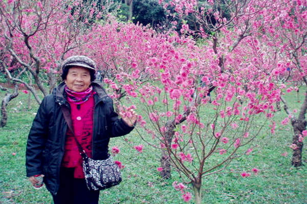 八字时柱看后半生桃花运