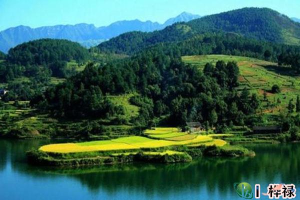 八字中怎么确定用神与忌神(八字中怎么确定用神与忌神的关系)