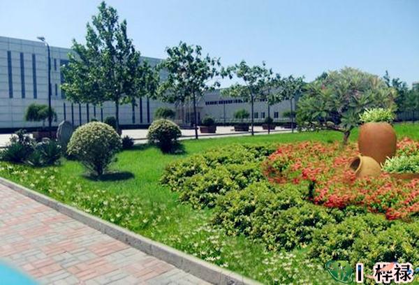 工厂里种植花草的风水宜忌