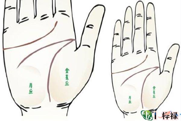 手相健康线看身体健康