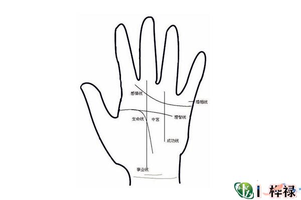 手掌线路看命运好坏