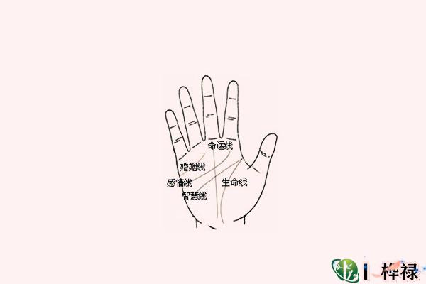 手相：命运线是哪条线