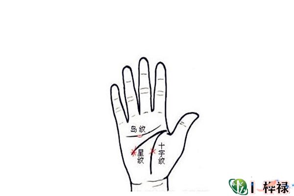手相纹路的识别与看法