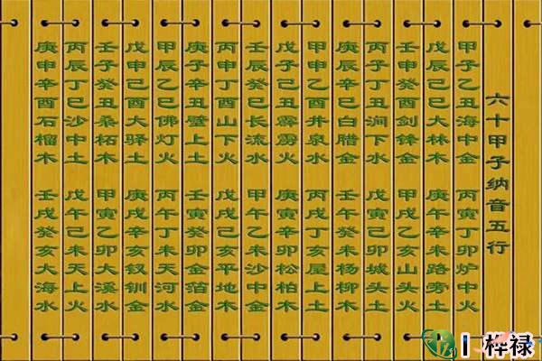 纳音五行准还是五行准