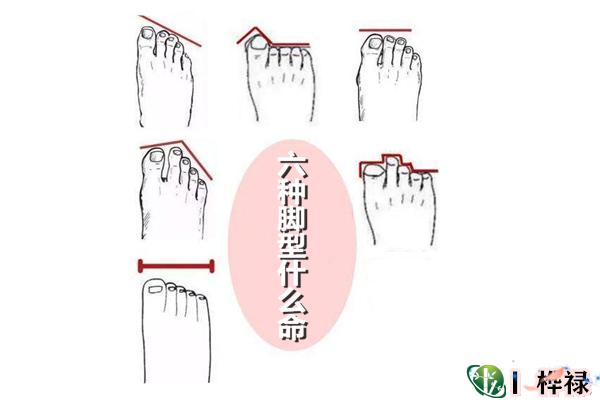 六种脚型什么命