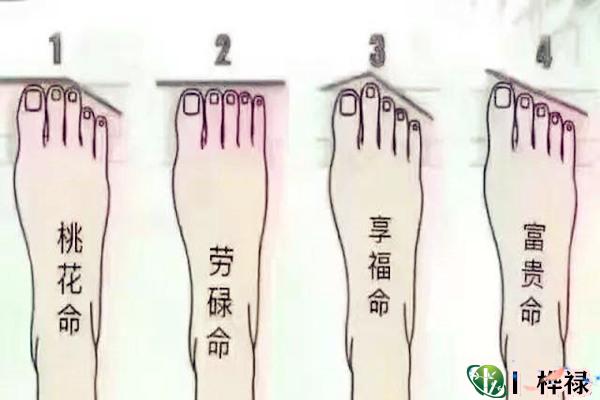 劳碌命的脚相特征