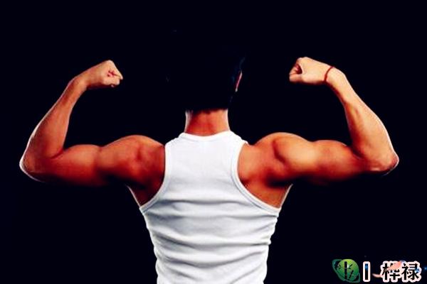 男人肩部面相解析