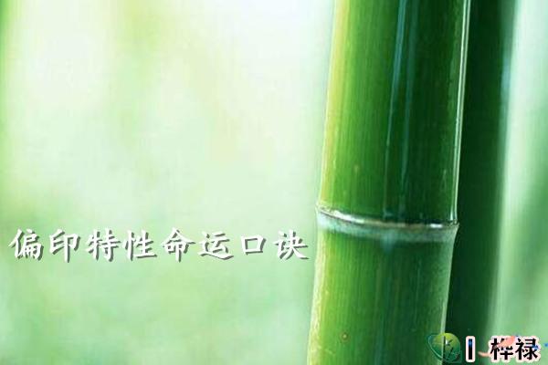 偏印特性命运口诀