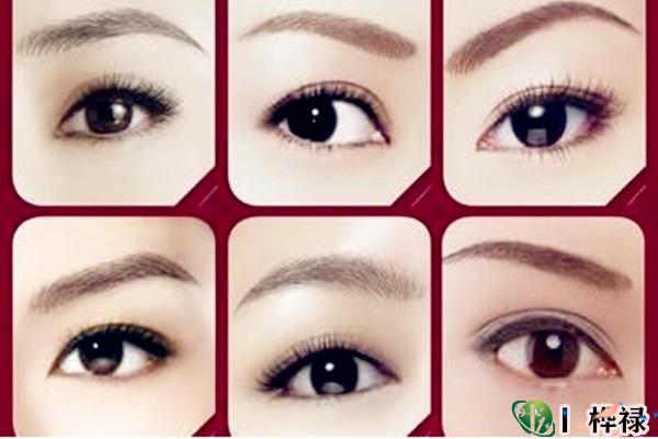 女人眉毛感情婚姻相法