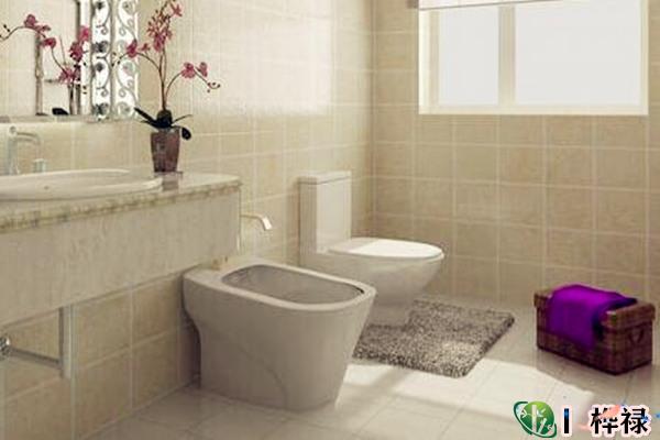 厕所马桶风水最佳方位