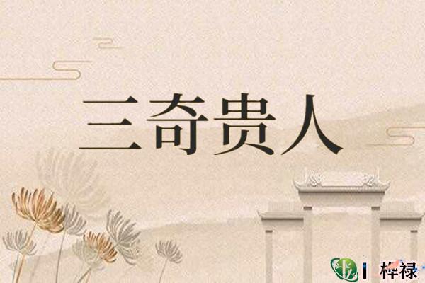 三奇贵人入命好吗