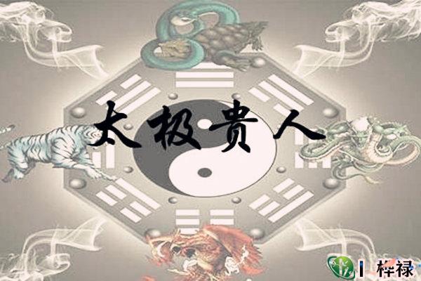 太极贵人在哪柱最好