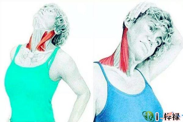 肩部看有这么一个人的福气