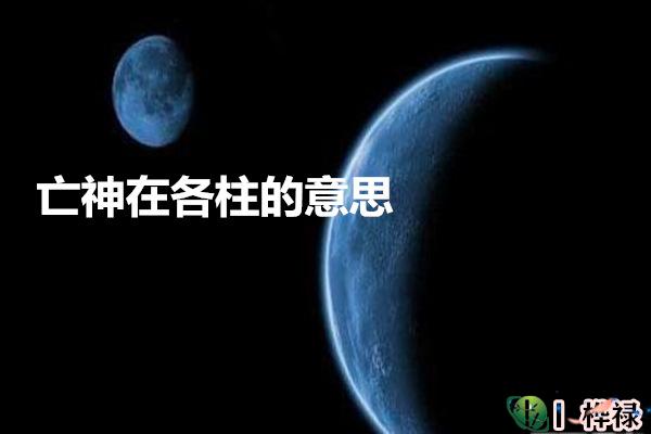 亡神在各柱的意思