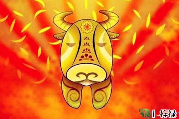 过本命年有什么讲究吗