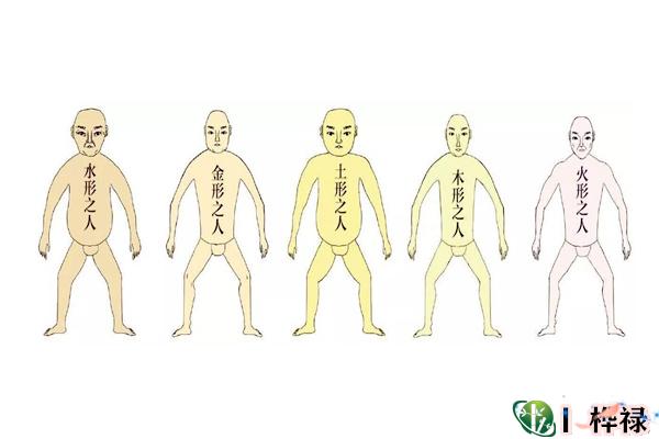 五型特征看身体胖好还是瘦好