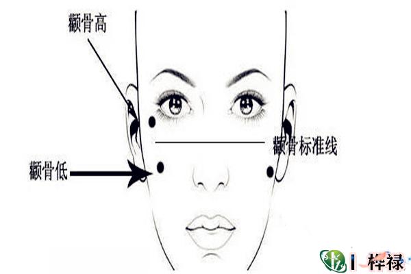 颧骨解读女人命运