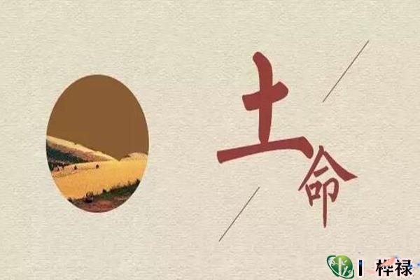 六种土命哪种好，土命中几月出生最好
