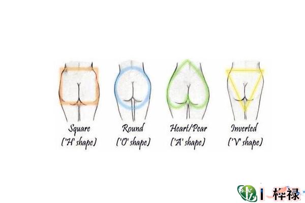 臀部看命运好坏