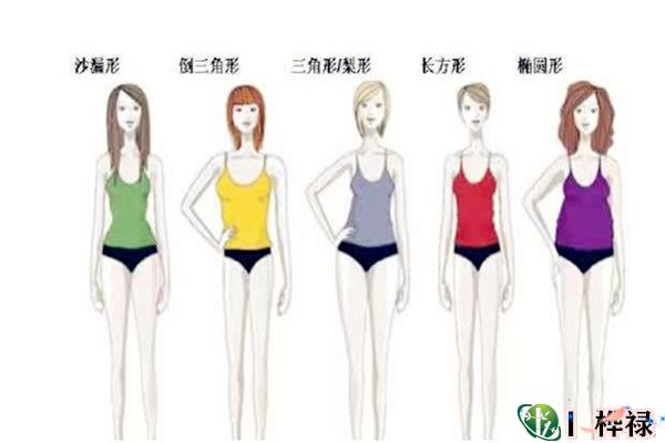 女人身材看命运好坏