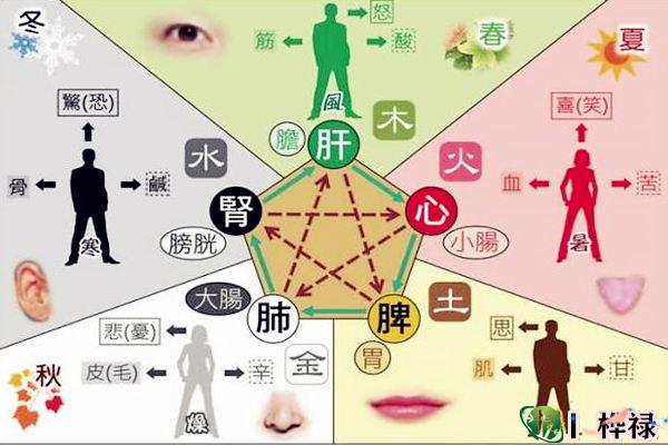 八字命理看颜值